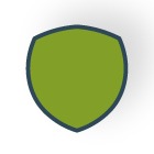 shield-icon